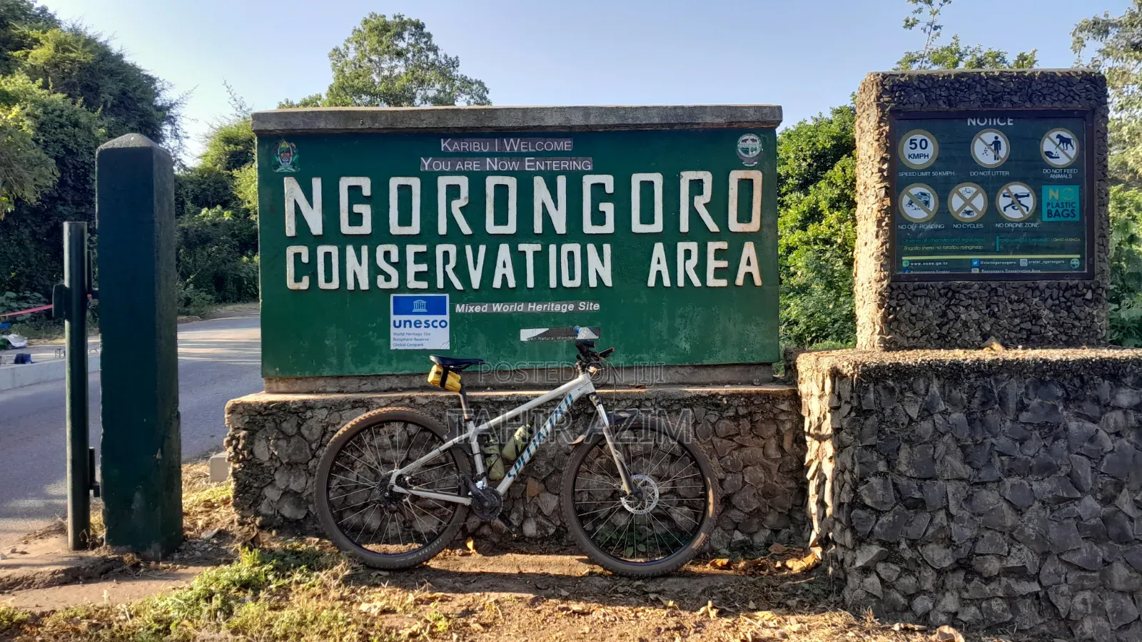 Specialized 29 Rock Hopper