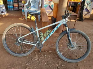 Specialized 29 Rock Hopper