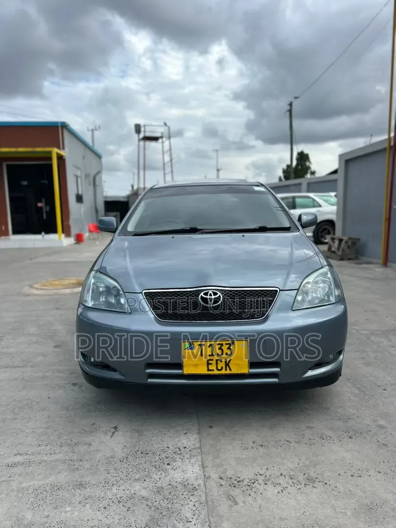 Toyota 4-Runner 4.7 2003 Gray