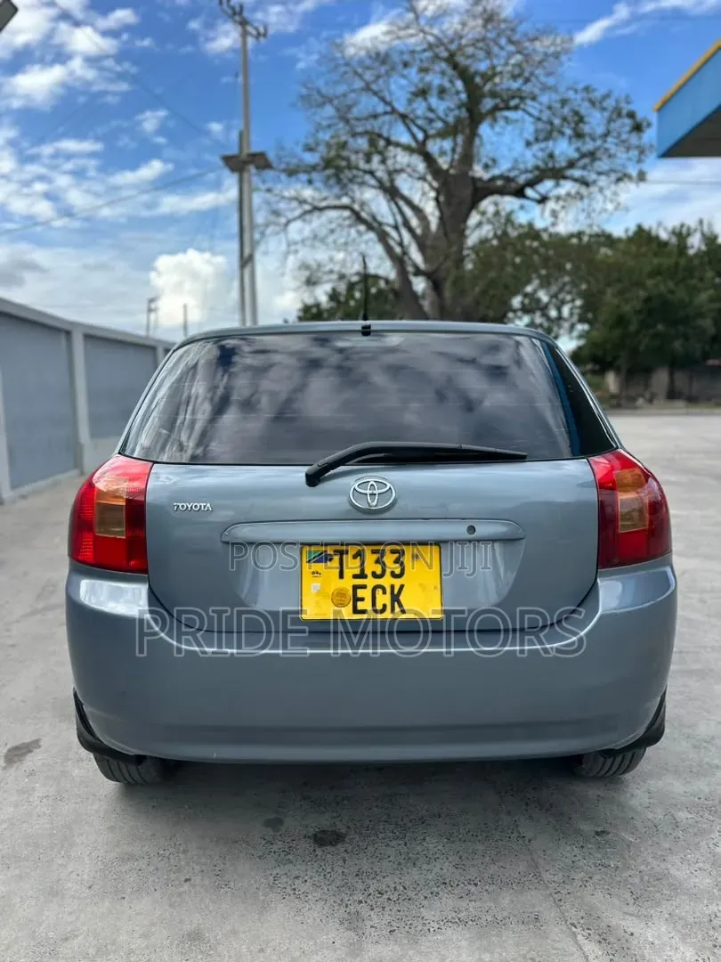 Toyota 4-Runner 4.7 2003 Gray