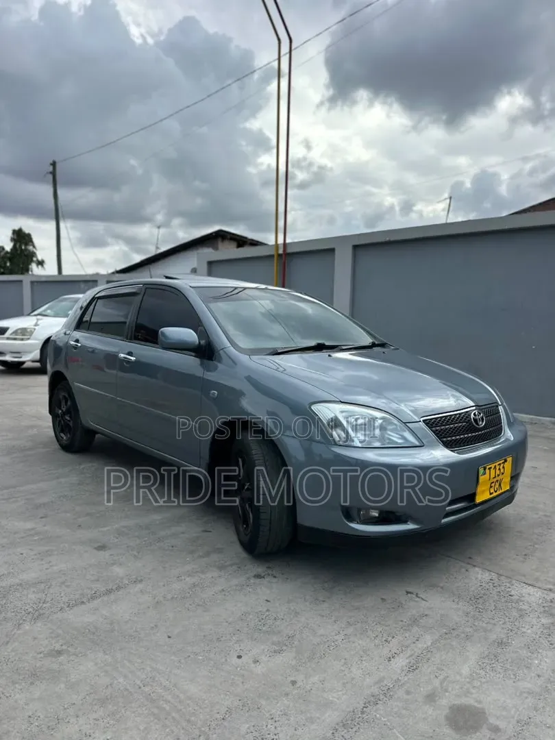 Toyota 4-Runner 4.7 2003 Gray