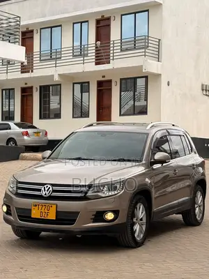 Volkswagen Tiguan 2013 Brown