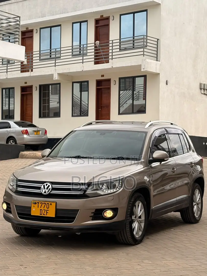 Volkswagen Tiguan 2013 Brown