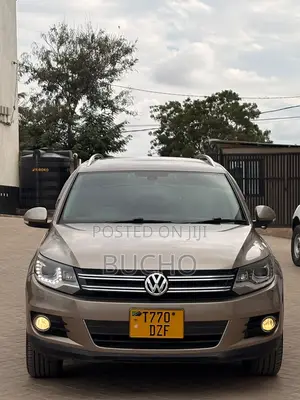 Volkswagen Tiguan 2013 Brown