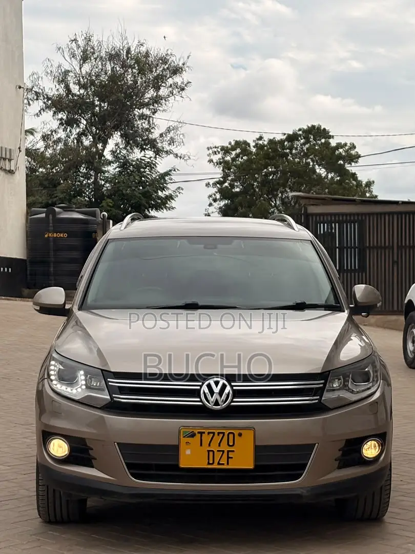 Volkswagen Tiguan 2013 Brown