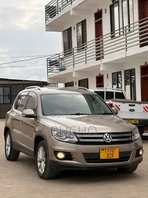 Volkswagen Tiguan 2013 Brown