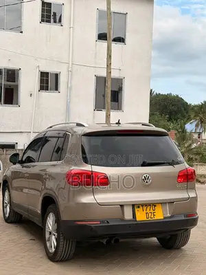 Volkswagen Tiguan 2013 Brown