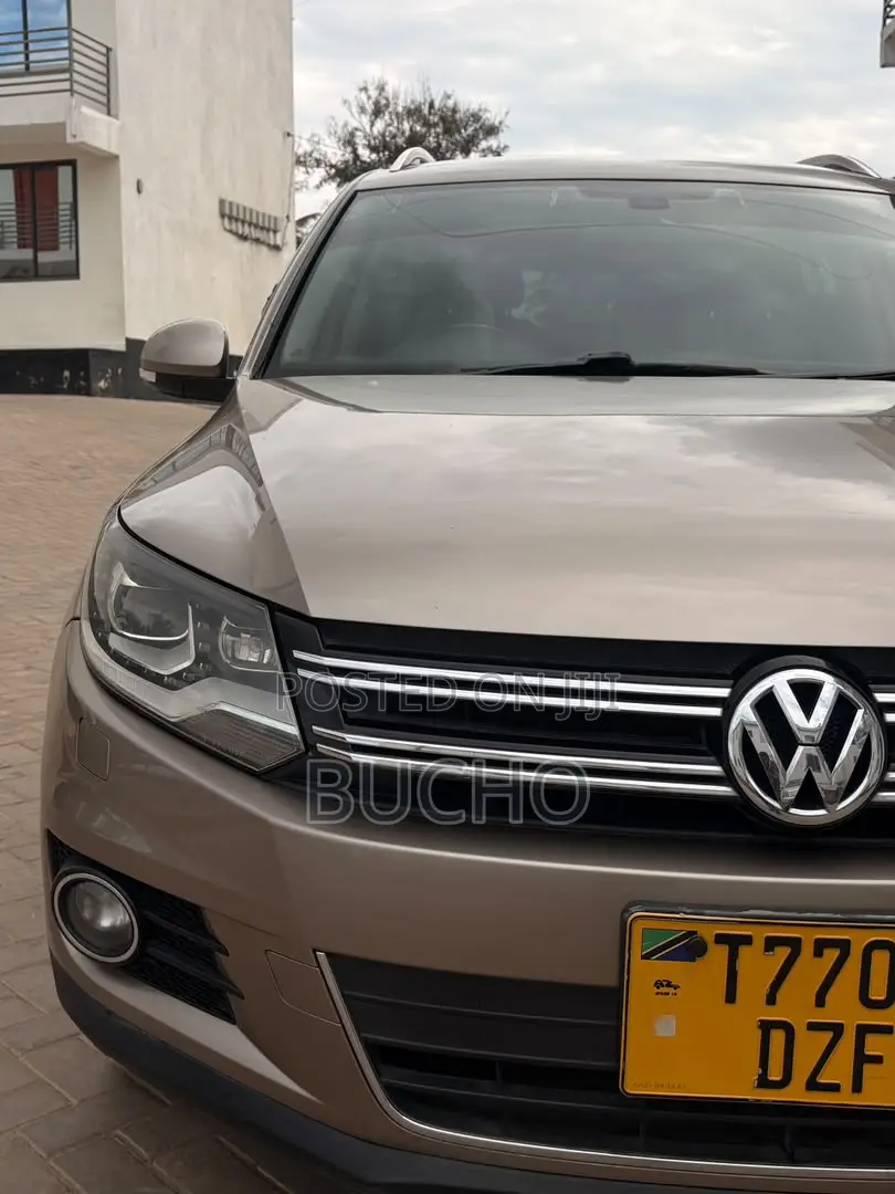 Volkswagen Tiguan 2013 Brown