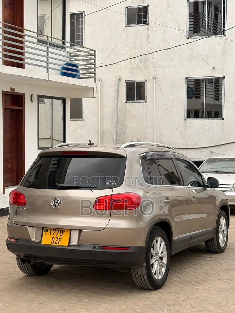 Volkswagen Tiguan 2013 Brown