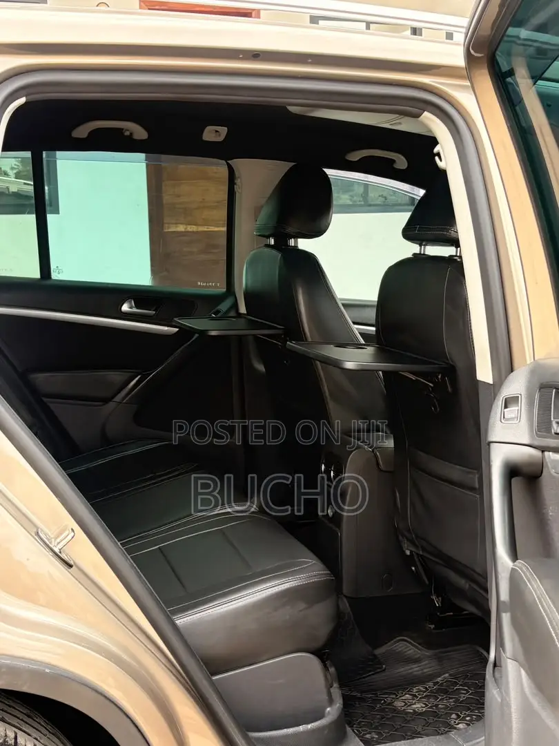 Volkswagen Tiguan 2013 Brown