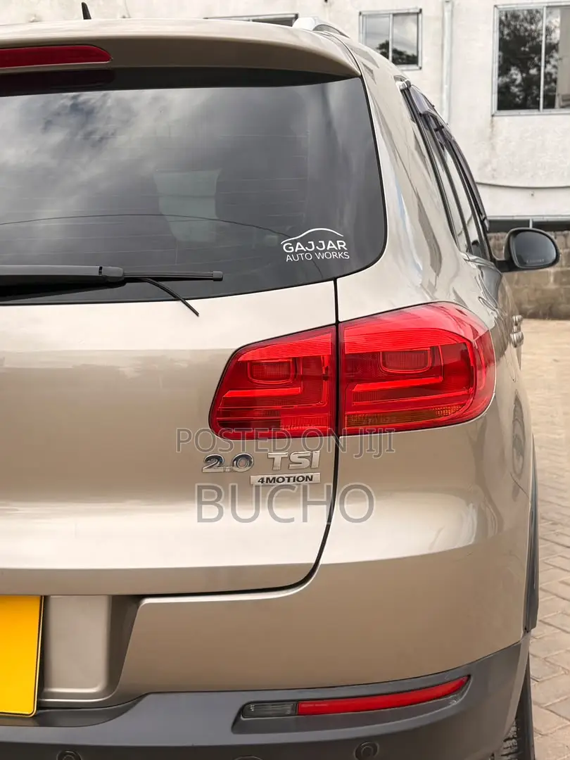 Volkswagen Tiguan 2013 Brown