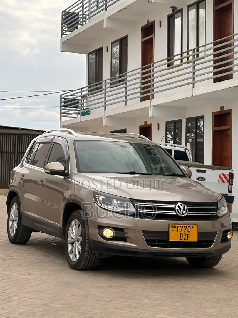 Volkswagen Tiguan 2013 Brown