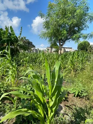 Selling 3 Plots Approved Neary Apao Village Mbutu