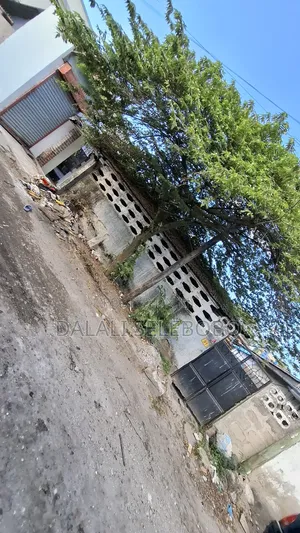 1bdrm Bedsitter in Sinza Kumekucha for rent