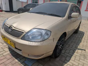 Toyota Corolla RunX 2006 Gold