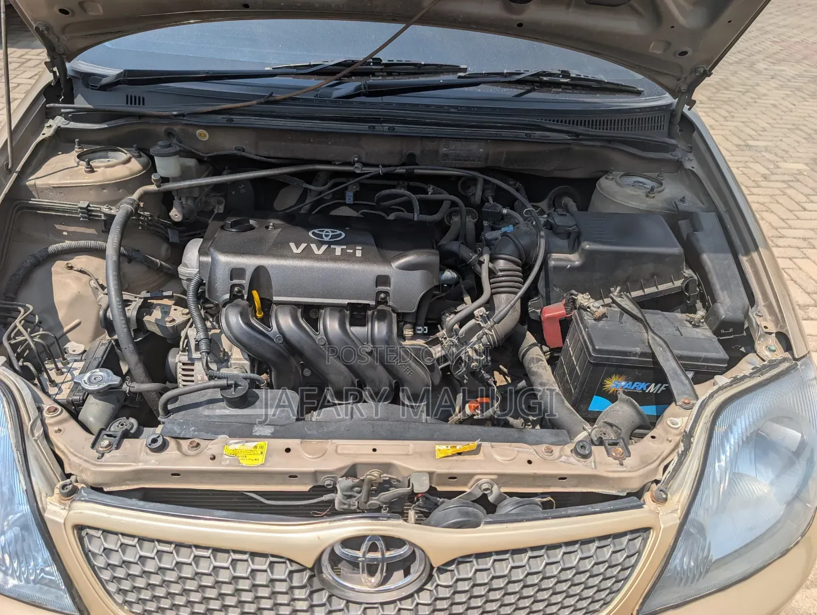 Toyota Corolla RunX 2006 Gold