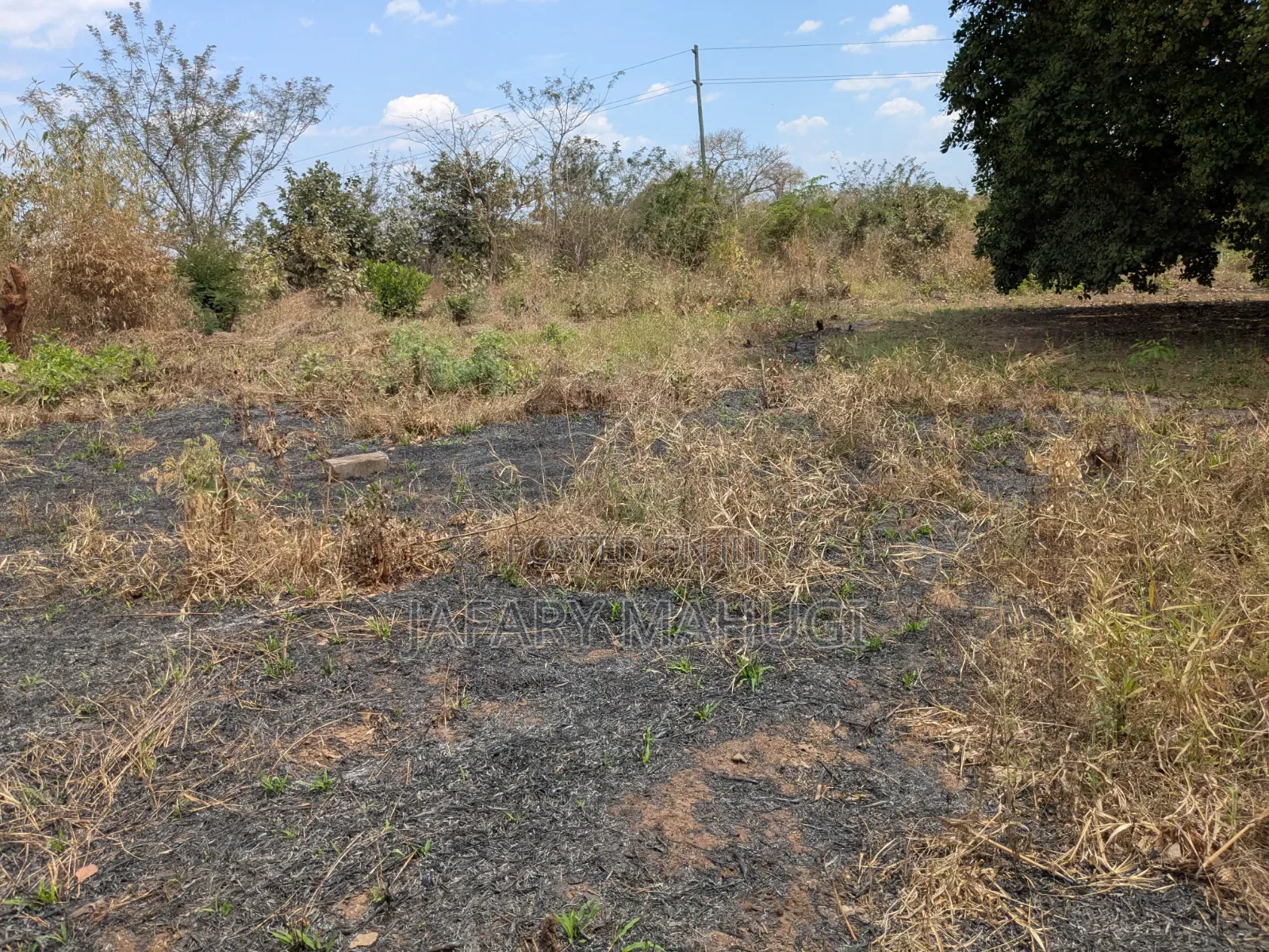 Eneo Linauzwa Ruangwa