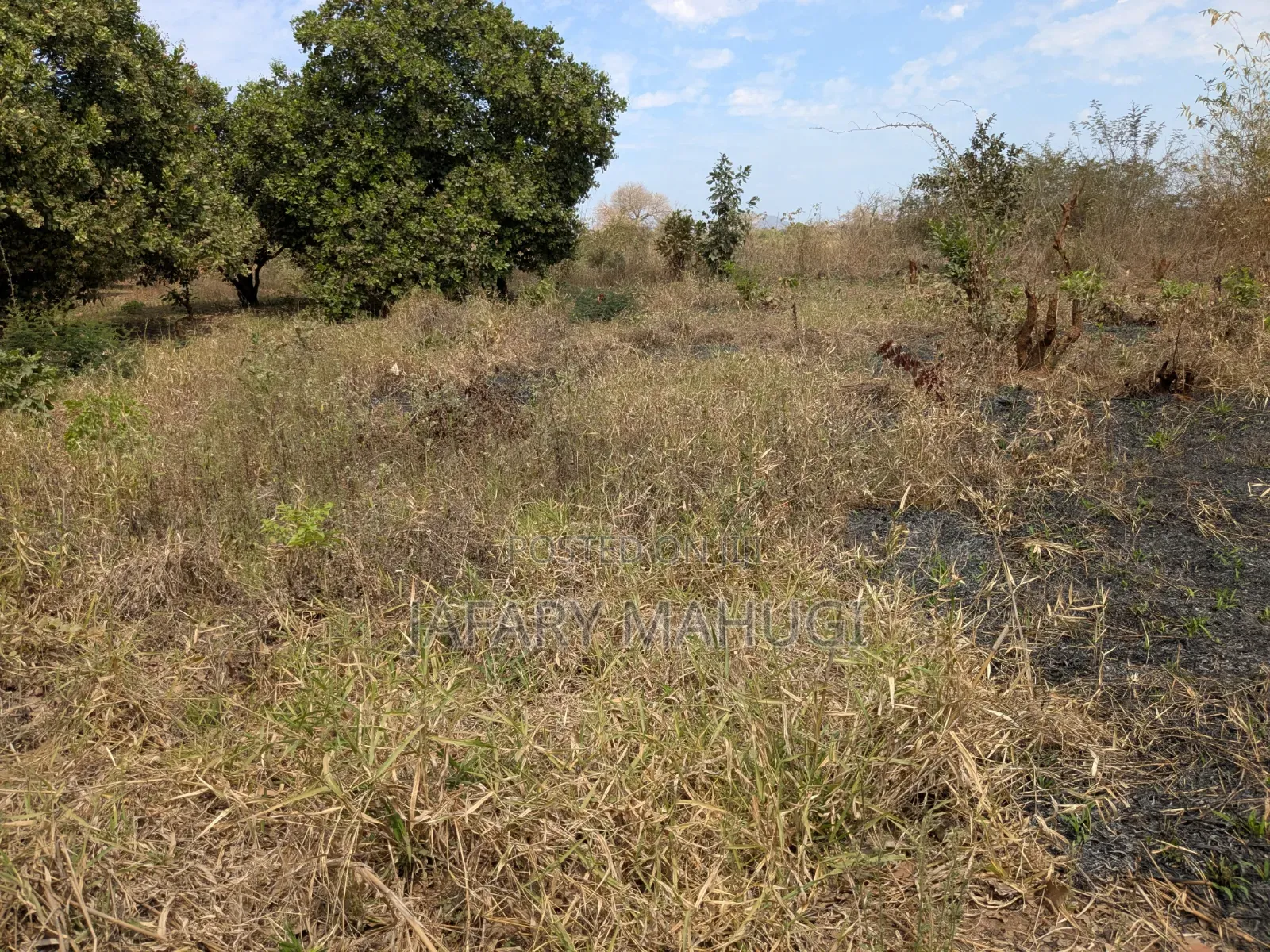 Eneo Linauzwa Ruangwa