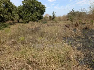 Eneo Linauzwa Ruangwa