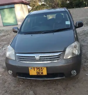 Toyota Raum 2003 Gray