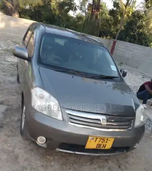 Toyota Raum 2003 Gray