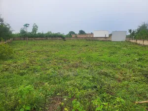60 by 80 Land Sales