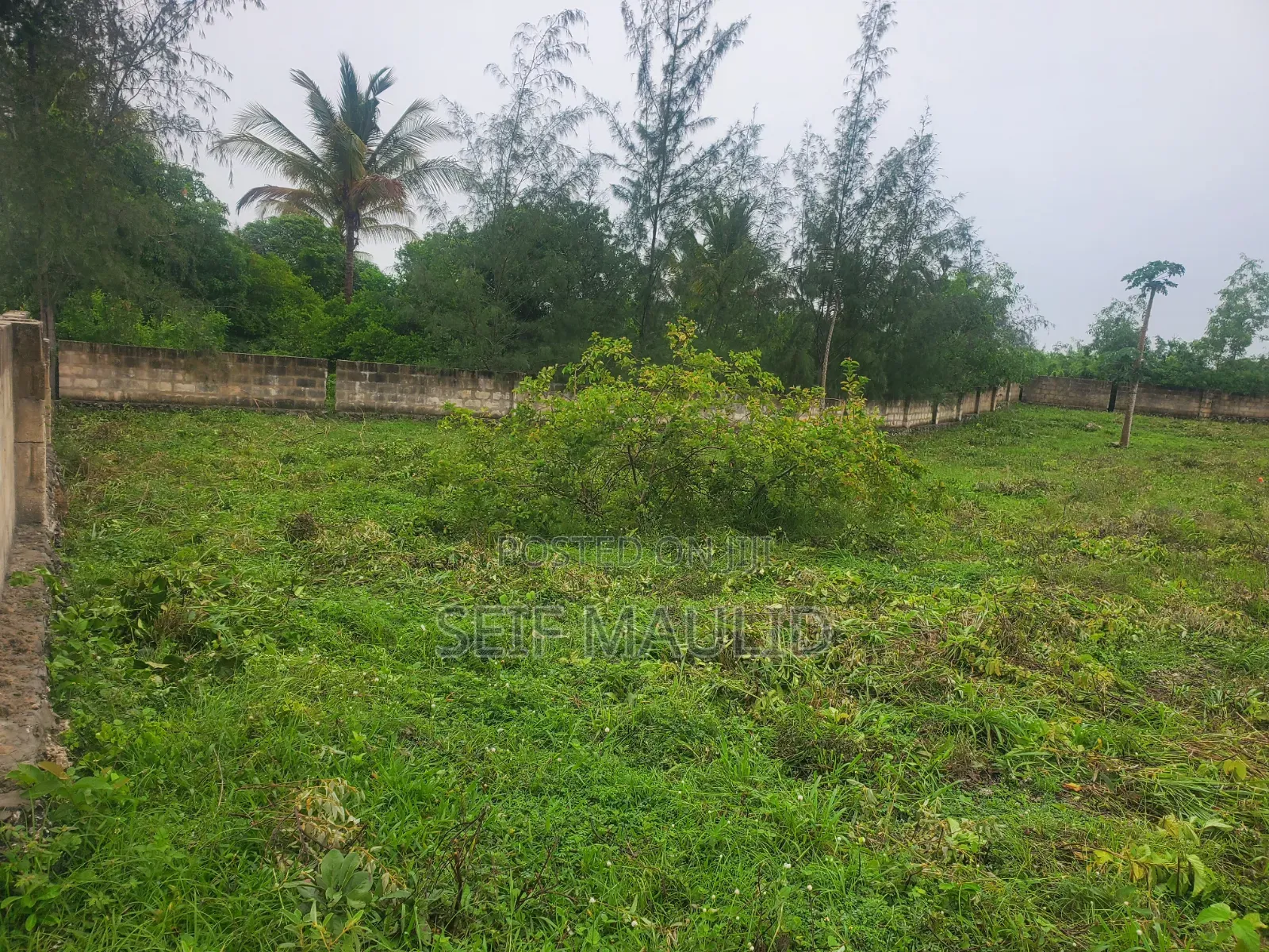 60 by 80 Land Sales