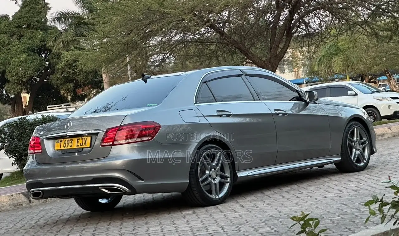Mercedes-Benz E250 SV Premium 2014 Gray