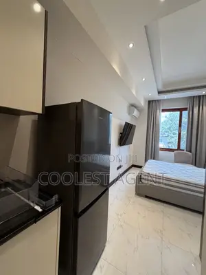 Furnished Studio Apartment in Coolest Estate, Masaki for rent