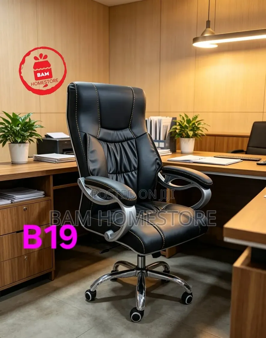 Executive Leather Office Chair/Ergonomic Swivel Desk Chair
(Model B19)