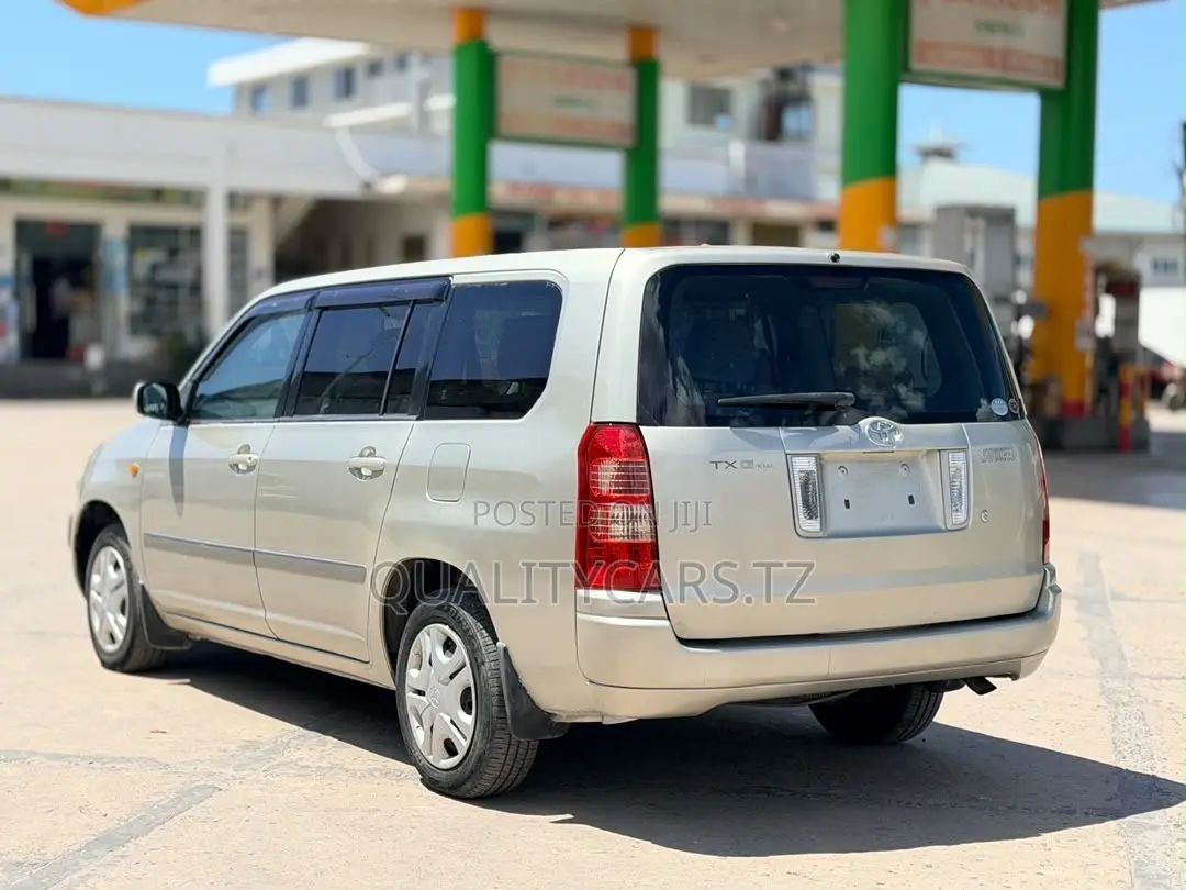 Toyota Succeed 2005 Gold