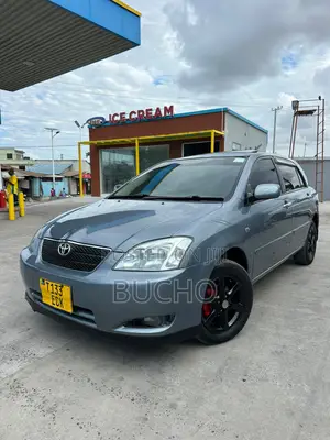 Toyota Corolla RunX 2004 Gray