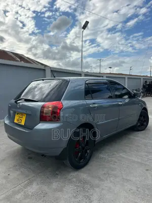 Toyota Corolla RunX 2004 Gray