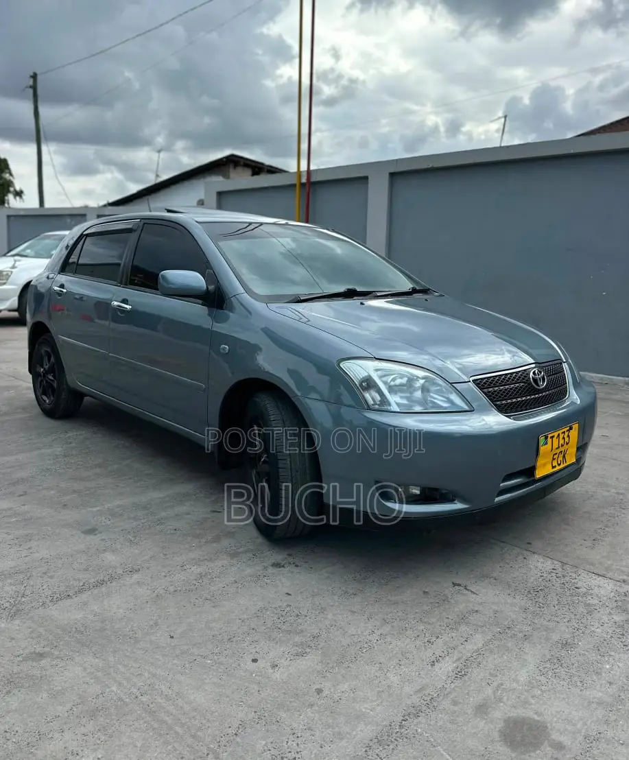Toyota Corolla RunX 2004 Gray