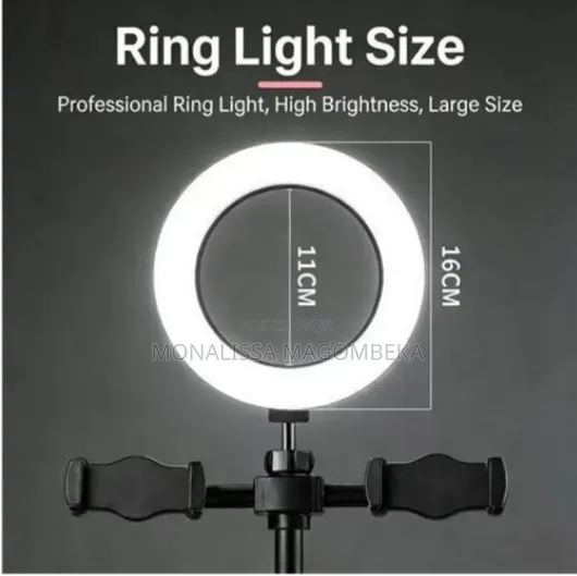 Double Phone Holder With Ringlight