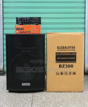 Global Star Sound System (BZ300) + AMPLIFIER