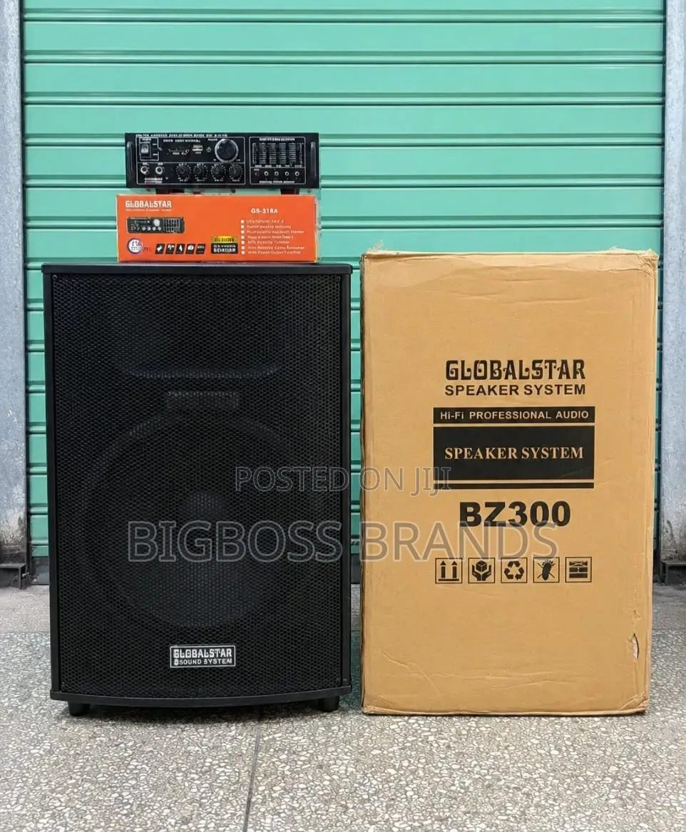 Global Star Sound System (BZ300) + AMPLIFIER