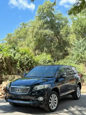 Toyota Vanguard 2010 Black