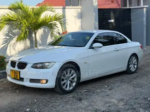 BMW 3 Series 2010 White