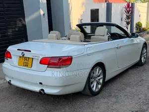 BMW 3 Series 2010 White