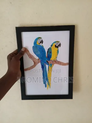Parrots Water Colour