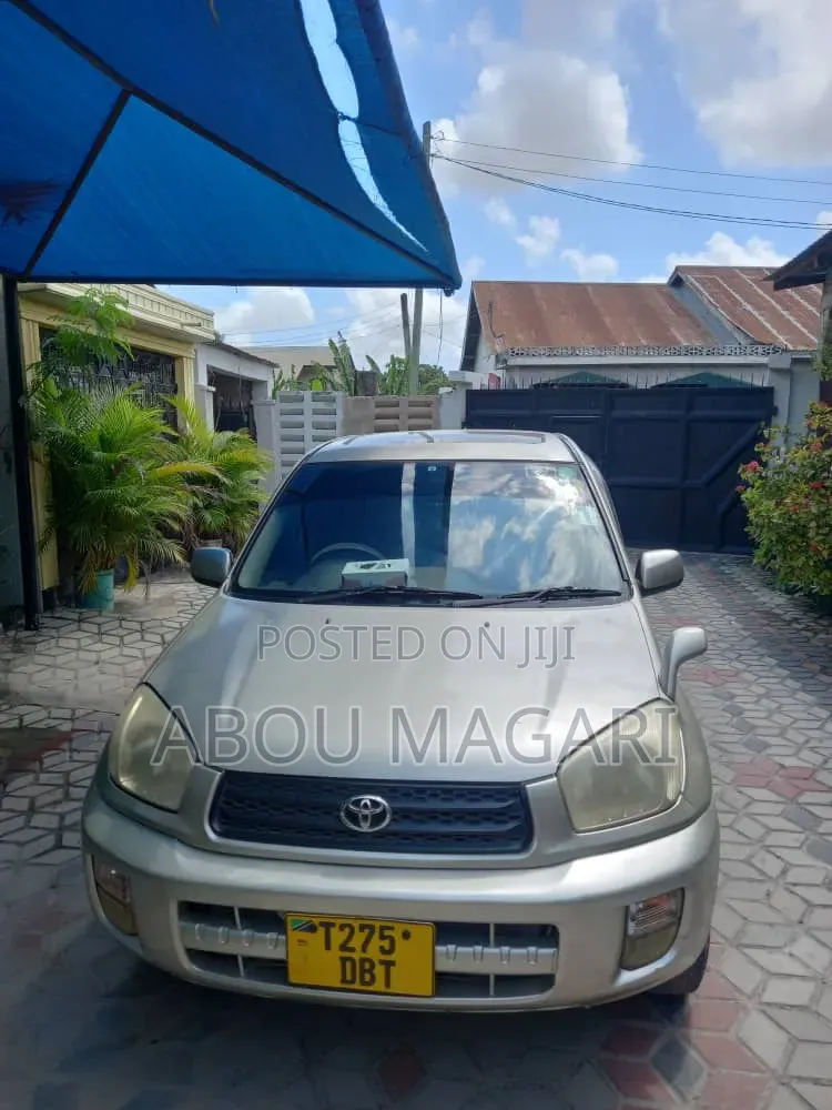 Toyota RAV4 2004 Gold