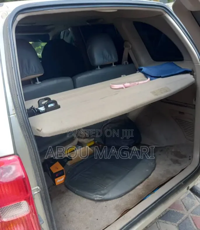 Toyota RAV4 2004 Gold