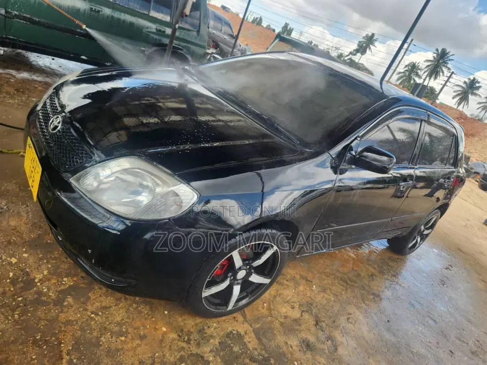 Toyota Corolla RunX 2004 Blue