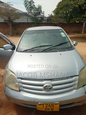 Toyota IST 2003 Silver