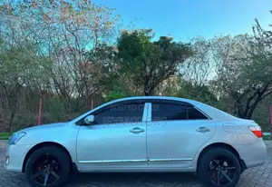 Toyota Premio 2010 Silver