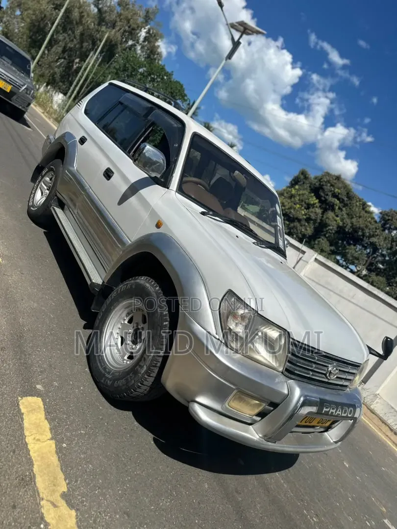 Toyota Land Cruiser Prado 2002 Silver