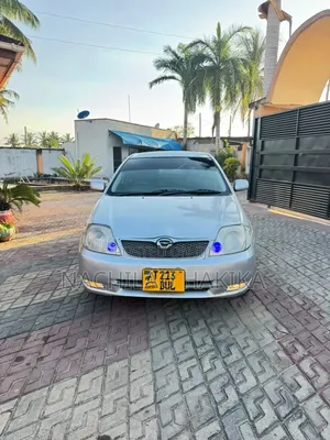 Toyota Corolla RunX 2001 Silver