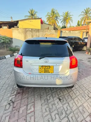 Toyota Corolla RunX 2001 Silver