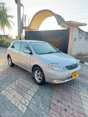 Toyota Corolla RunX 2001 Silver